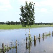 Stormschade Wateroverlast Lunteren