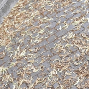 Lindebomen Overlast Centrum Lunteren