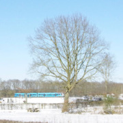 Doesburg Mijmering Henk de Rooy